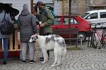 Venkovské trhy v sobotu 13. dubna na Horním náměstí ve Šternberku.