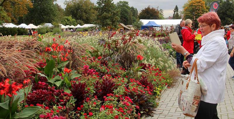 Podzimní Flora Olomouc 2019