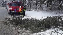 Následky silného větru v Olomouckém kraji, 5. 2. 2020