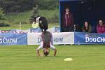 Mezinárodní závody Key DiscDog Freestyle o víkendu představují v Olomouci sport dogfrisbee.