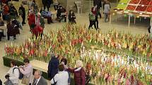 Podzimní Flora Olomouc 2019