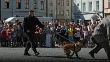 Ukázky policejní práce na Horním náměstí v Olomouci