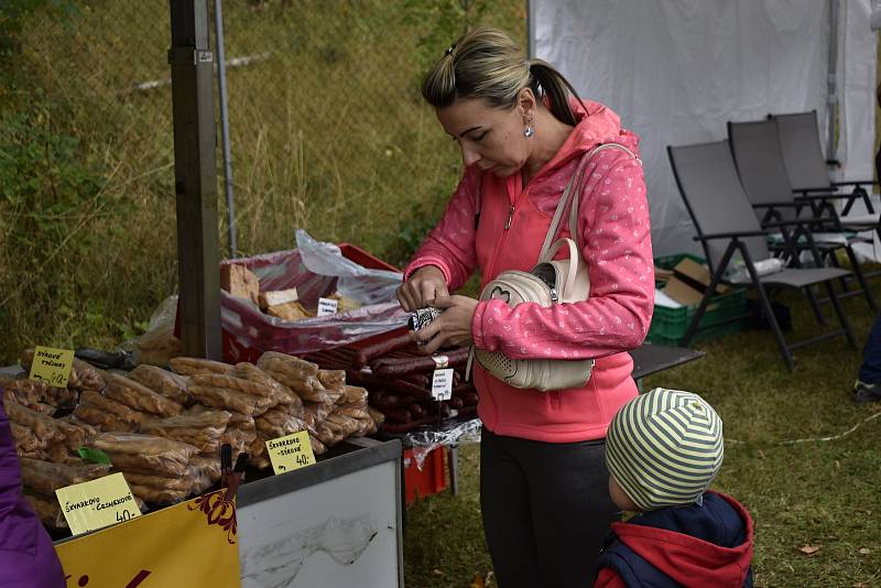 Svátek krajských zemědělců v podobě Dožínek se konal v Náměšti na Hané, 19. 9. 2021