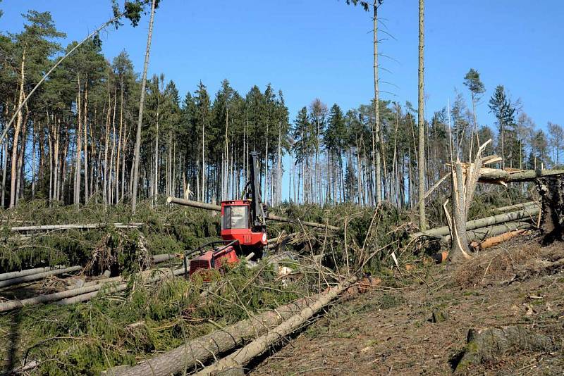 Harvestor pomáhá v olomoucké zoo s úklidem po vichřici. 20.3. 2019