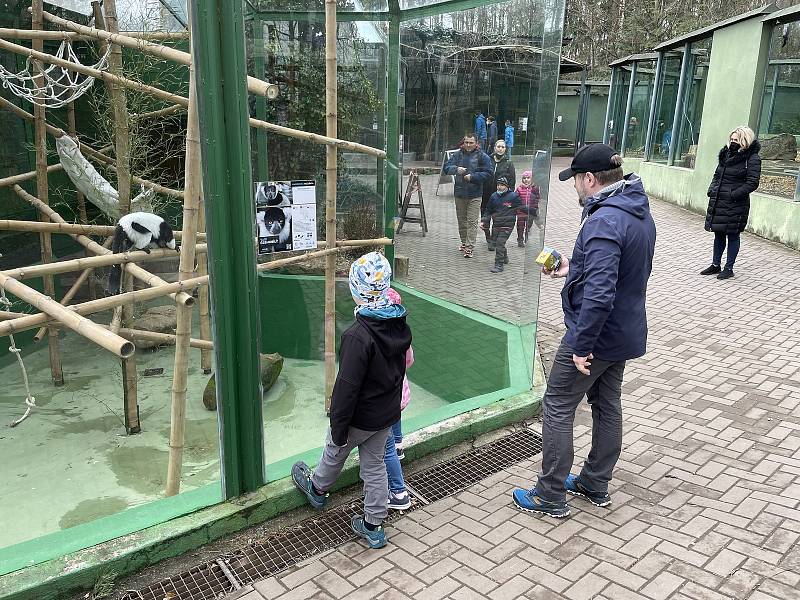 Zoo Olomouc, 18. dubna 2021