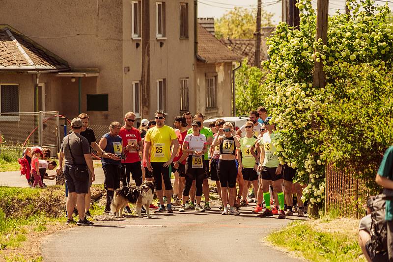 Křižák - Běh na Křížový vrch či půlmaraton. Foto se souhlasem organizátora