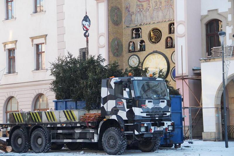 Kácení vánočního stromu na Horním náměstí v Olomouci