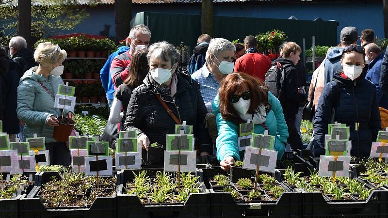 První Zahradnické trhy roku 2021 na výstavišti Flora Olomouc. Sobota 24. dubna 2021