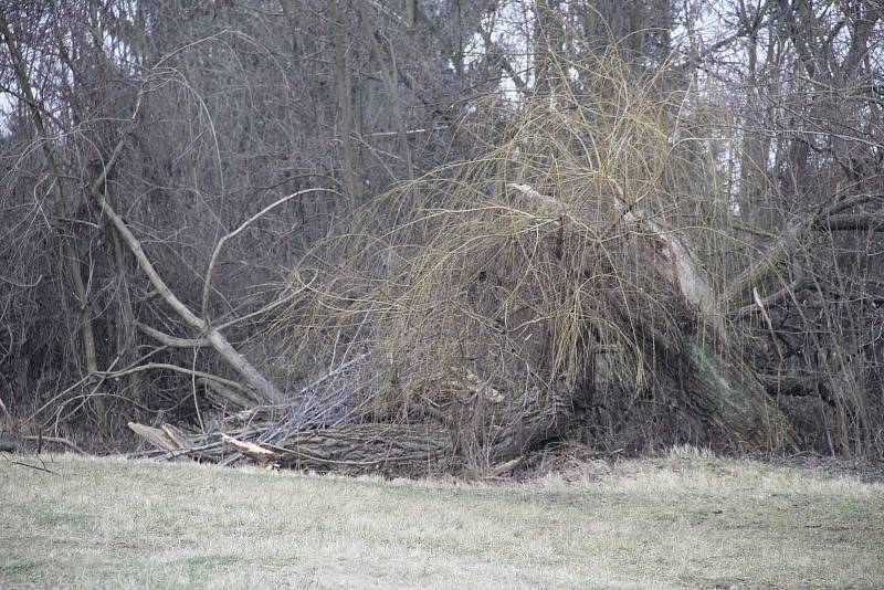 Švýcarské nábřeží čeká proměna, město letos nechá zpracovat projektovou dokumentaci.