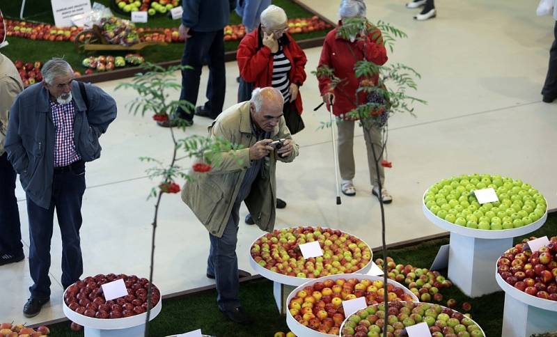 Podzimní Flora 2015