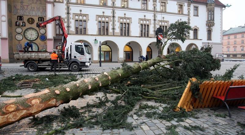 Kácení vánočního stromu na Horním náměstí v Olomouci 