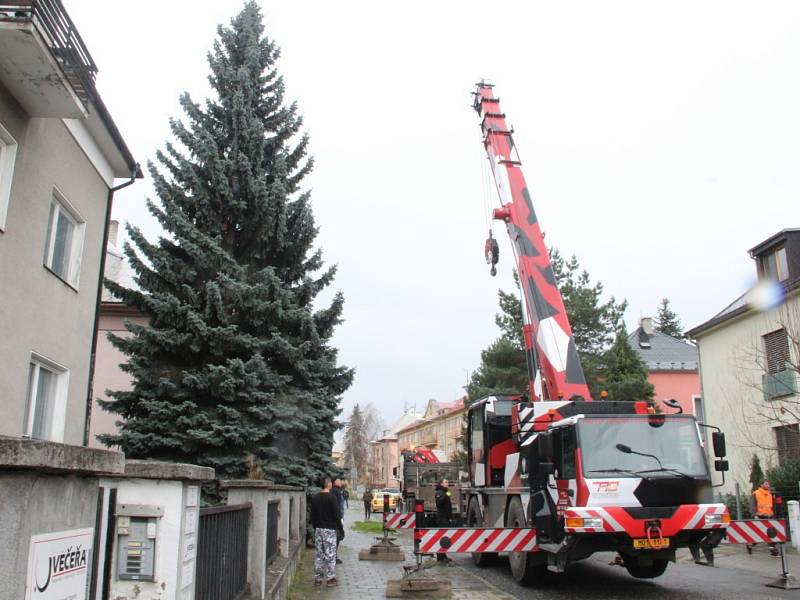 Kácení, převoz a stavění olomouckého vánočního stromu – 16. 11. 2014