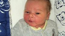 Samuel Hradil, Nedvězí narozen 24. března, míra 54 cm, váha 3930 g