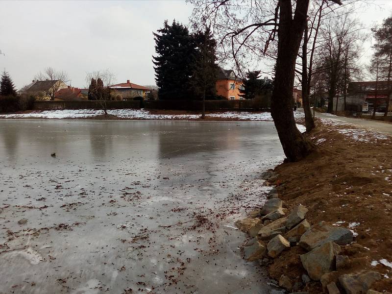 Rybník v Sadové ulici v Horce nad Moravou, na kterém je už souvislá vrstva ledu tlustá několik centimetrů