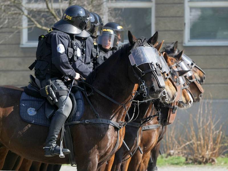 Policisté na koních