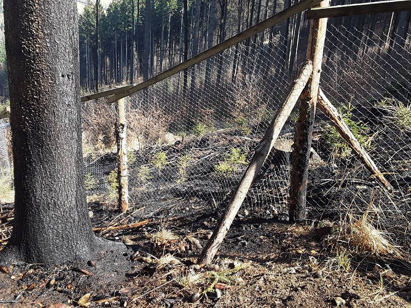 Hasiči během pondělí 6. dubna likvidovali požáry na devíti místech Olomouckého kraje. Požár u Vernířovic.