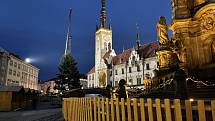 Olomouc už má svoji vánoční jedli. Dorazila z Hluboček. 7. listopadu 2021