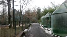 Uzavřená Zoo Olomouc na začátku února 2021