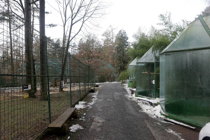 Uzavřená Zoo Olomouc na začátku února 2021