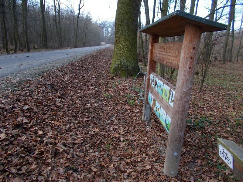 Nová asfaltová stezka mezi rozcestím "U tří mostů" a Loveckou chatou u Horky nad Moravou