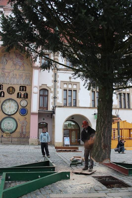 Vánoční jedle na Horním náměstí v Olomouci