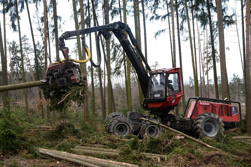 Harvestor pomáhá v olomoucké zoo s úklidem po vichřici. 20.3. 2019