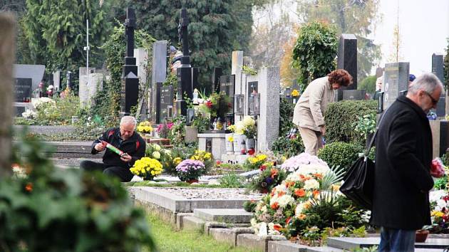 Dučičky na městském hřbitově v Olomouci-Neředíně