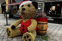 Vánoční medvěd před cukrárnou na Dolním náměstí v Olomouci,