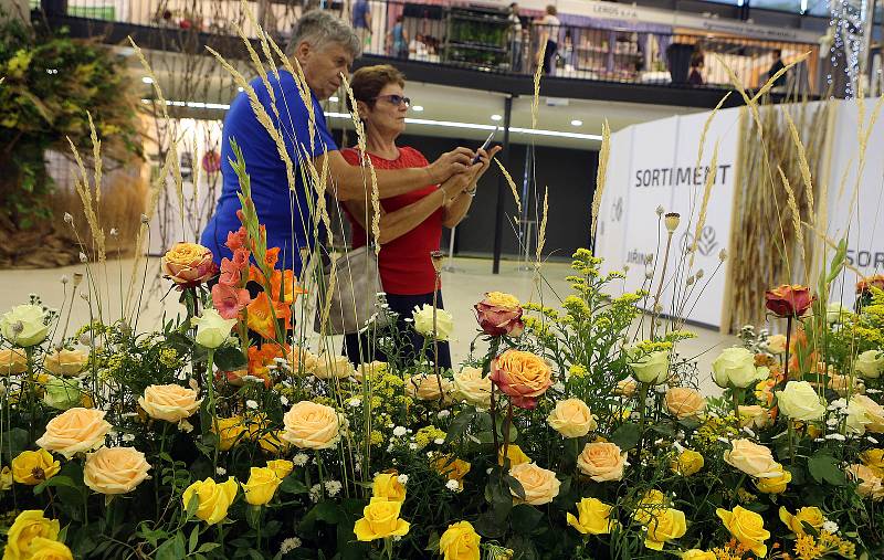 Letní etapa výstavy květin Flora Olomouc 2018.