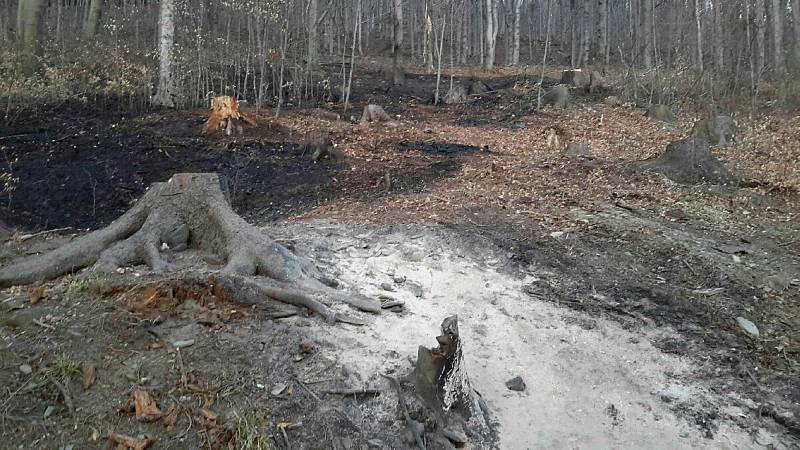 Hasiči během pondělí 6. dubna likvidovali požáry na devíti místech Olomouckého kraje. Požár u Zlatých Hor.