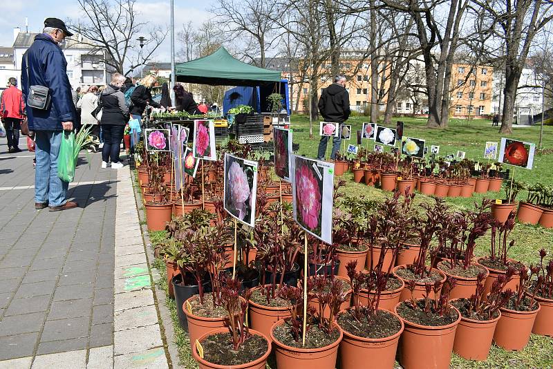 První Zahradnické trhy roku 2021 na výstavišti Flora Olomouc. Sobota 24. dubna 2021