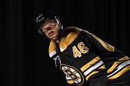 David Krejčí na promo fotkách Bostonu Bruins
