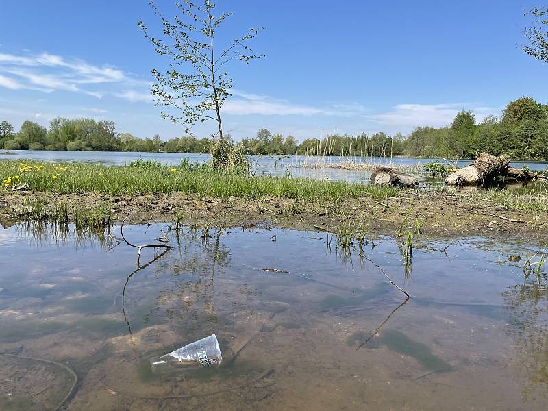 Restaurace Terasa na olomouckých Poděbradech zavede vratné kelímky. Plastového odpadu bude méně, 12. května 2021