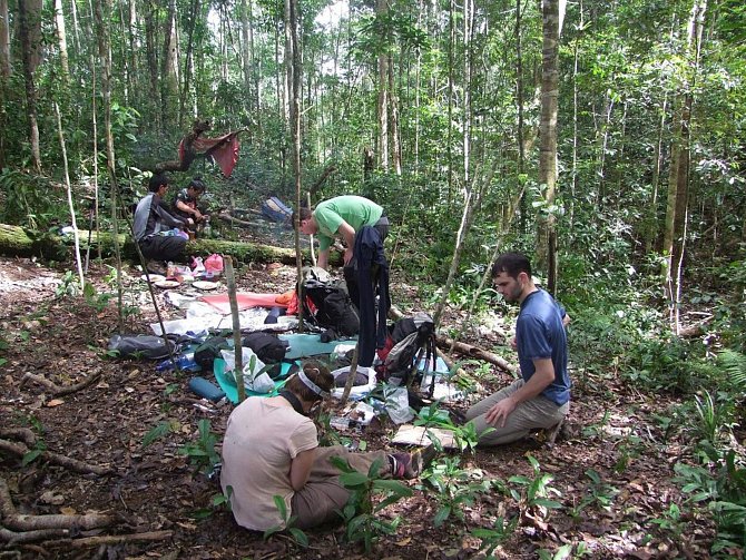 Biologové z Univerzity Palackého objevili na Borneu už desátý druh rostliny