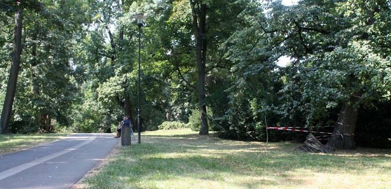 Místo ve Smetanových sadech v Olomouci, kde spadlo malé dítě do hluboké díry u pařezu nedaleko cyklostezky mezi fontánou a tržnicí