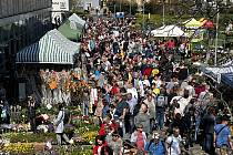 Velký zájem o jarní výstavu Flora Olomouc. Davy lidí obdivují Království barev a na trzích nakupují na zahrádky, 22. dubna 2023