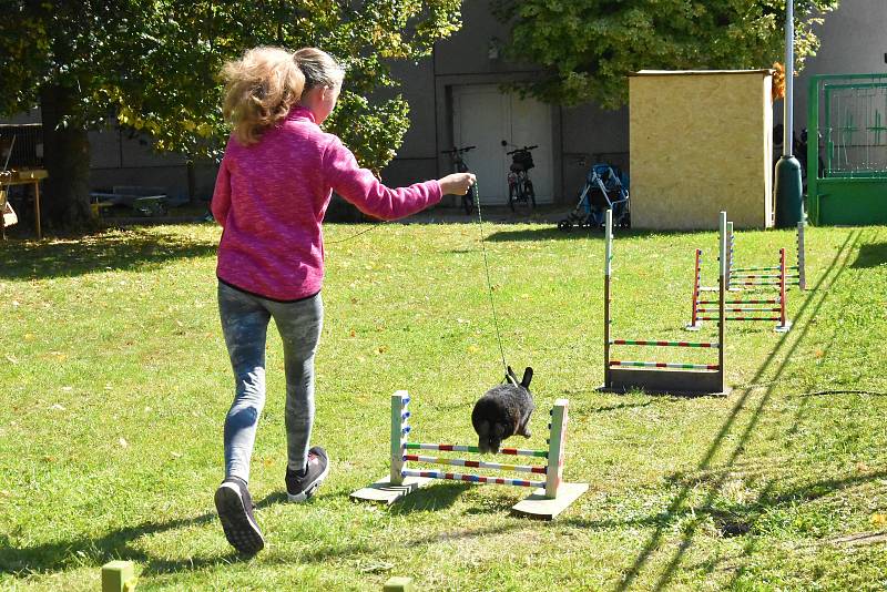 Okresní všeobecná výstava králíků, drůbeže a holubů v Senici na Hané, 21.-22. 9. 2019