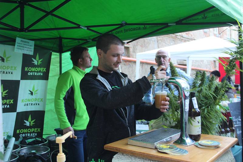 Festival plný netradičních pokrmů Extreme food festival v areálu Letního kina v Olomouci. Konopné pivo.