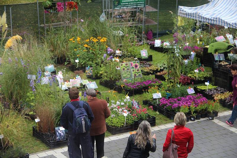 Podzimní Flora Olomouc 2019