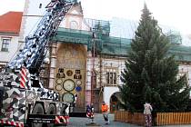 Usazení vánočního stromu na Horním náměstí v Olomouci