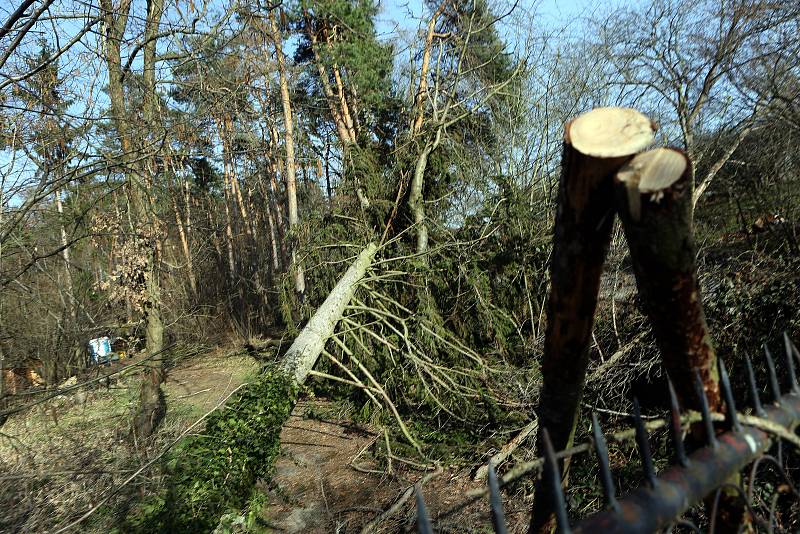 Zoologická zahrada na Svatém Kopečku u Olomouce poškozená vichřicemi.