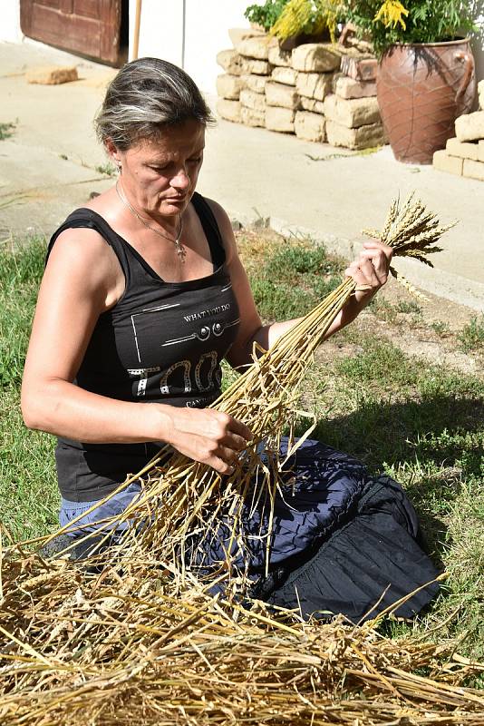 Ukázka starodávného způsobu výmlatu obilí v Příkazech, 10. 8. 2019