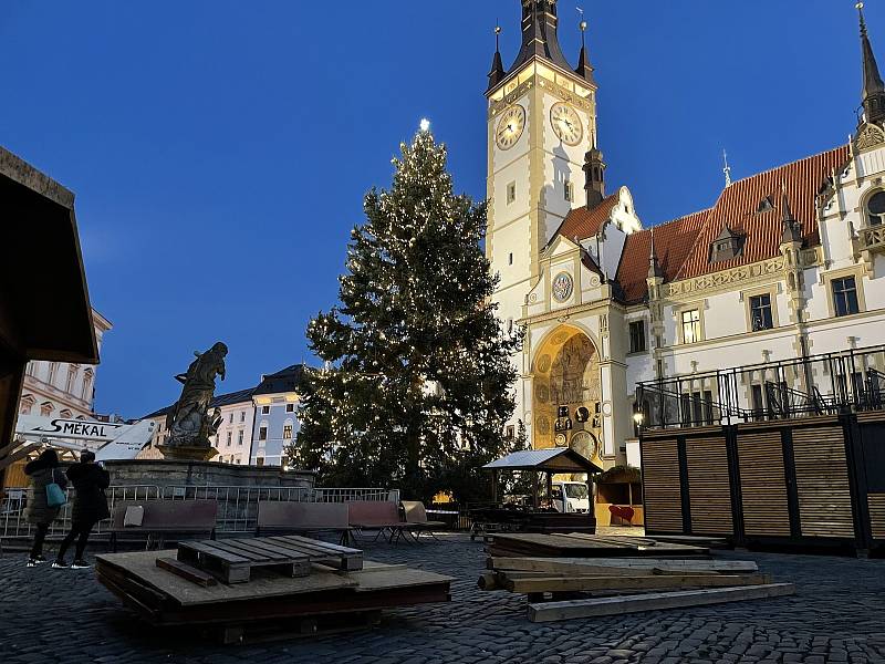 Ozdobená olomoucká vánoční jedle na Horním náměstí. 10. listopadu 2021