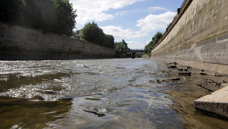 Tradiční letní srážka vody na řece Moravě v Olomouci.