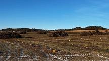 Sadaři ve Vilémově vykáceli téměř 16 hektarů jabloní, 7. února 2023.