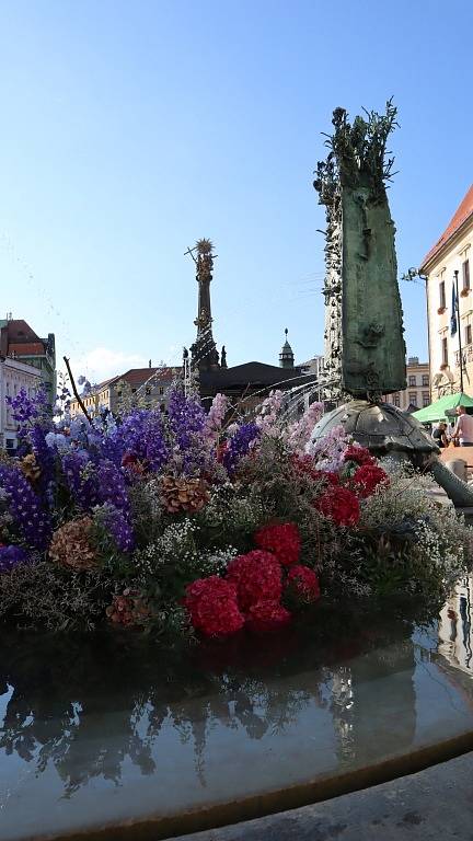 Toulky po městě Olomouc.