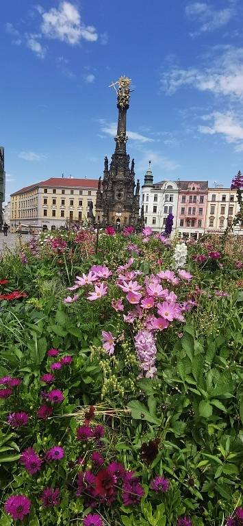 Toulky po městě Olomouc.