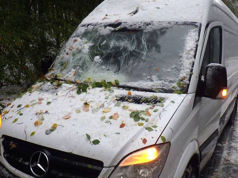 U horské obce Vidly na úpatí Pradědu spadla na auto část stromu, který nevydržel nápor těžkého sněhu a silného větru.