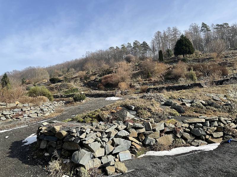 Arboretum s Makču Pikču u Paseky, 24. února 2021