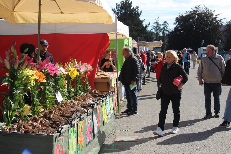 Podzimní Flora Olomouc, 29. září 2022